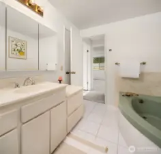 Guest bathroom on the main level features a large soaking tub.