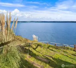 The neighborhood trail leads you to a great spot for beach combing, open-water swimming, whale watching, or launching a kayak.