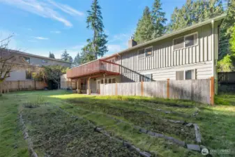 Large back yard and dog run