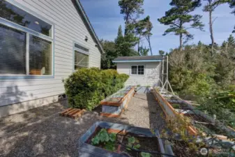 Another view of the raised garden.