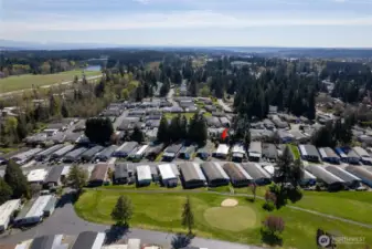 Belmor offers a clubhouse, pool, golf course and dog run!