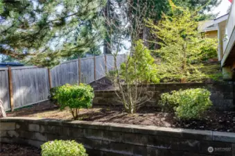 Terraced back yard with fence
