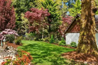 Front yard landscaping