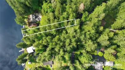 Just shy of 1/2 ac lot.