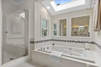 Primary bathrom
