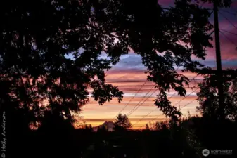 Mount Rainier from back yard!