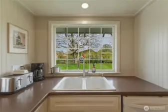 Window at Kitchen Sink