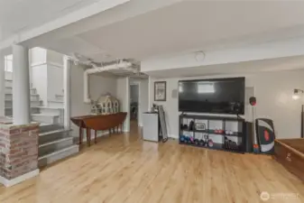 Basement Living Room