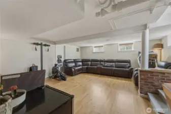 Basement Living Room