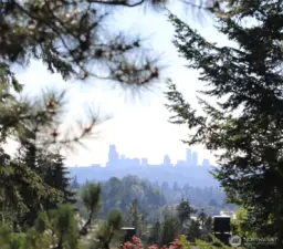 View of Seattle skyline