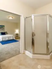 Primary bath shower.