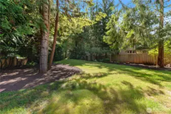 Backyard from living area.
