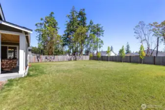 Huge backyard