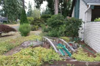 Front Yard