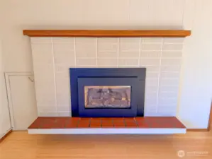 Propane Fireplace.