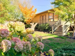 Fully Fenced - the Back Yard is level with wonderful flowering areas.  Room for that garden and secure for the pet.