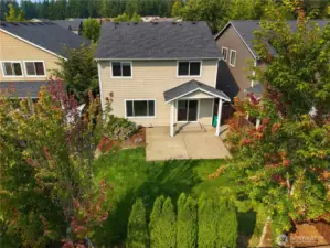 The backyard showcases mature landscaping with arborviitaes, trees and rasberries.