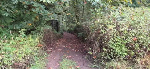 Bring your 4-wheelers and dirt bikes! This property features private trails perfect for off-road adventures right in your own backyard