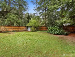 Backyard