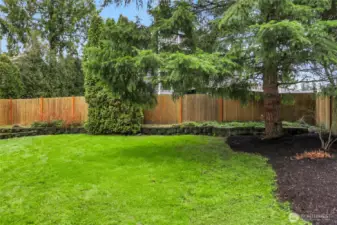 Level, fully fenced backyard with shed