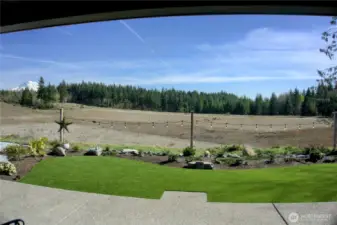 Premium lot views of retention pond and Mount Rainier