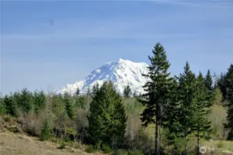 The Mountain is OUT!