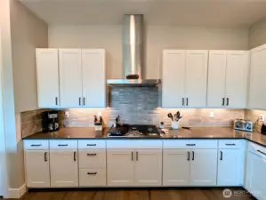 gourmet kitchen with cooktop and hood