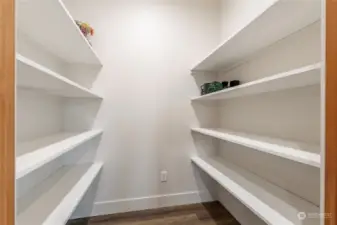 Pantry with shelving