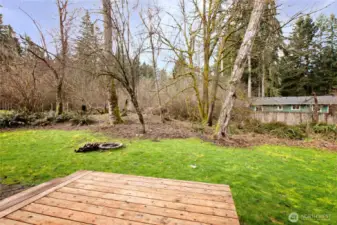 Backyard Deck