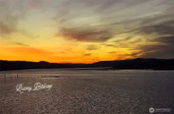 Willapa Bay at Sunset!