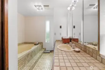 Primary bathroom