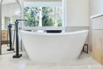 Master Tub