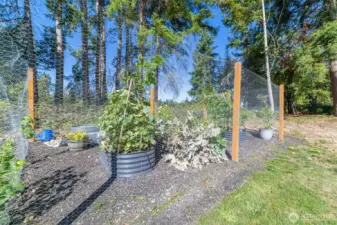 Garden Beds