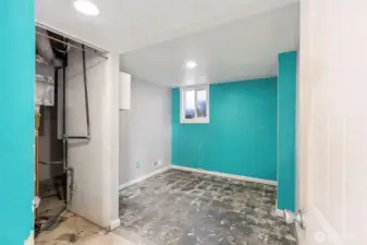 Bonus Room in Basement