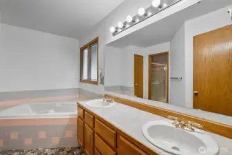 Primary 5-piece bathroom.