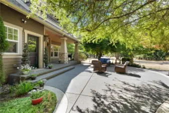 The way the light filters through the trees onto this patio and back porch is magical