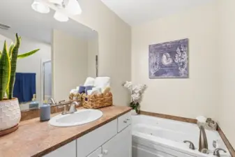 Primary Bedroom Attached Bathroom