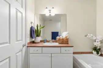 Primary Bedroom Attached BAthroom