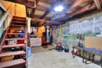Multi-purpose basement