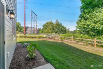 View of the backyard off the kitchen glass sliding door.