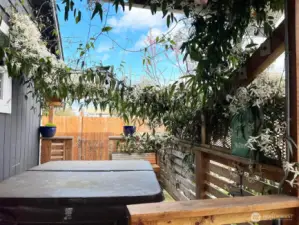 Hot tub