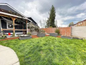 Back yard