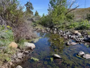 Seasonal creek water