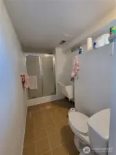 Basement Bathroom