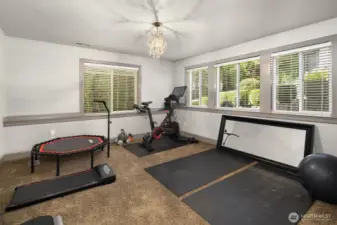 This important room is the downstairs bedroom.  Again, because the basement is above grade, this room benefits from wonderful natural light.  Currently used as an exercise space, this would also make a fabulous 5th bedroom and would be a great spot for a live-in extended family member.  There is a full bathroom conveniently located right outside the door.