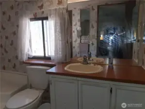 Primary Bathroom 1