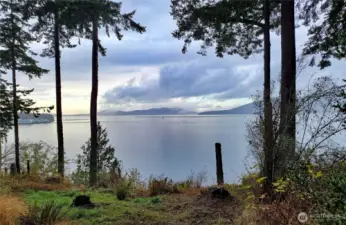 Views from inside the property showing tress that frame the views of the water and islands.