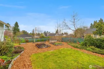 A garden paradise!  There are raised beds, fruit trees, blueberries, and more!