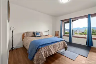 Downstairs suite - views for everyone!