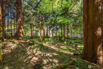 There's even woods to explore.